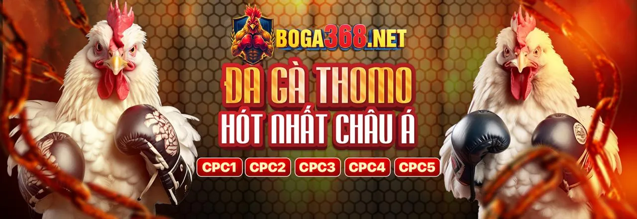 Hướng dẫn tải ứng dụng SV666